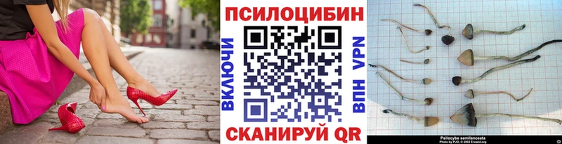 Псилоцибиновые грибы мухоморы  Усть-Кут 